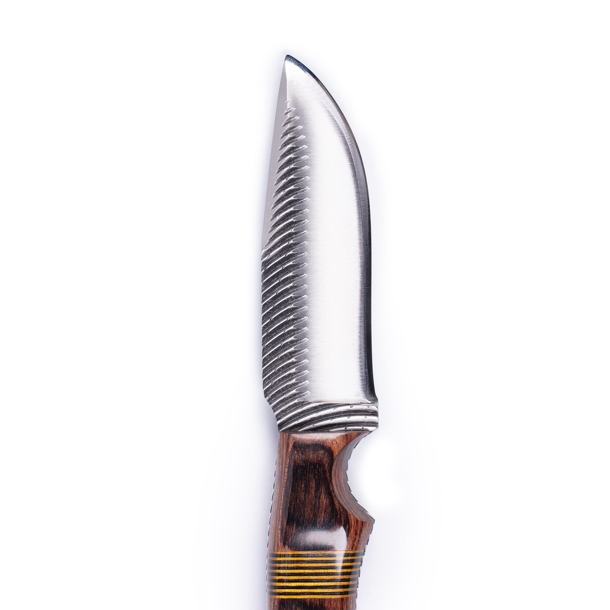 Anza Walnut Curvetooth - Image 4