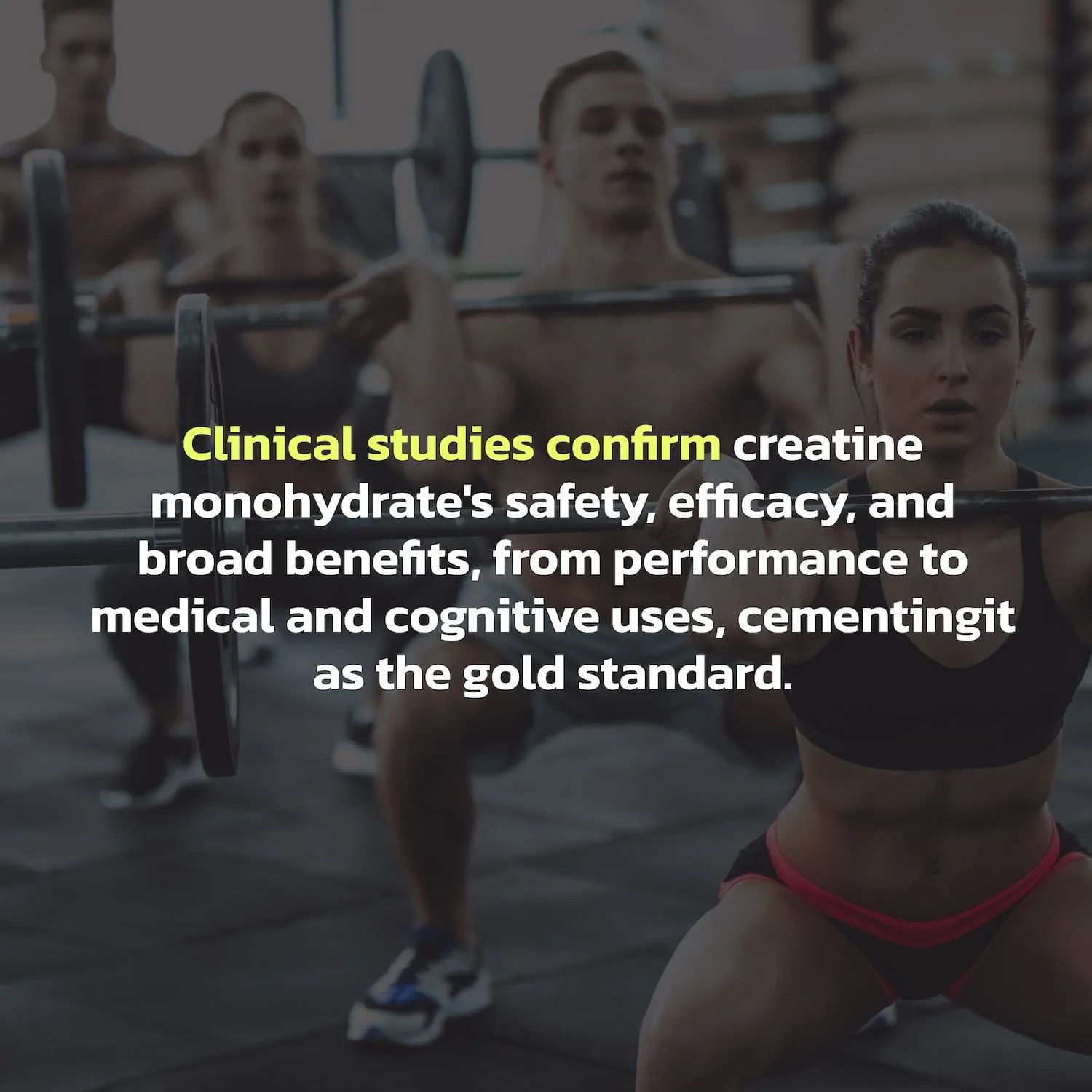 Creatine Monohydrate - Image 5