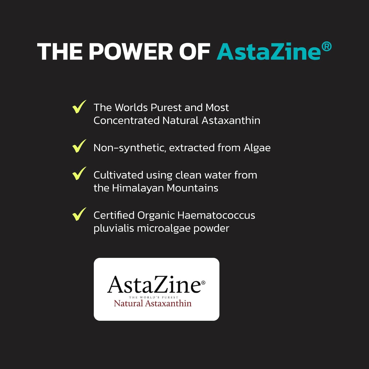 Astaxanthin - Ultimate Antioxidant - Image 7