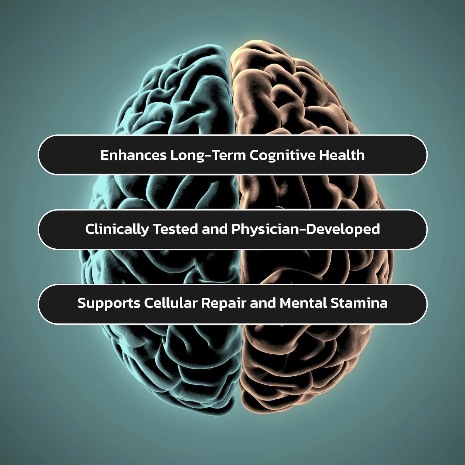 Brain Rescue - Image 6