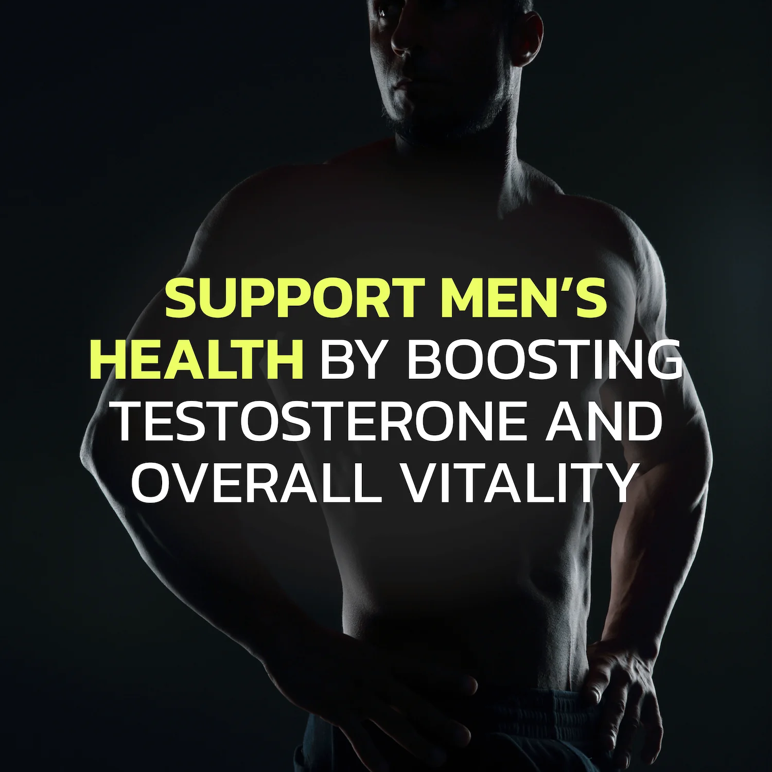 Ultra Testosterone Booster - Image 4