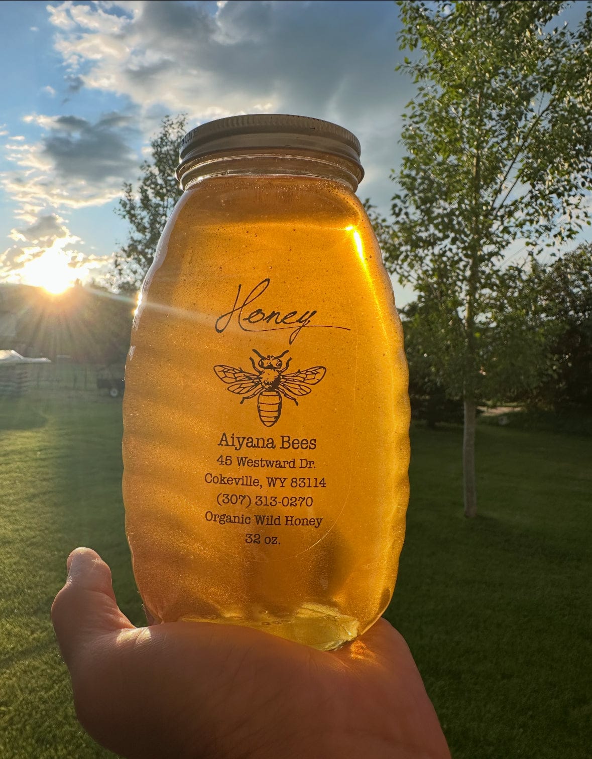 Local Wyoming Honey - Image 4