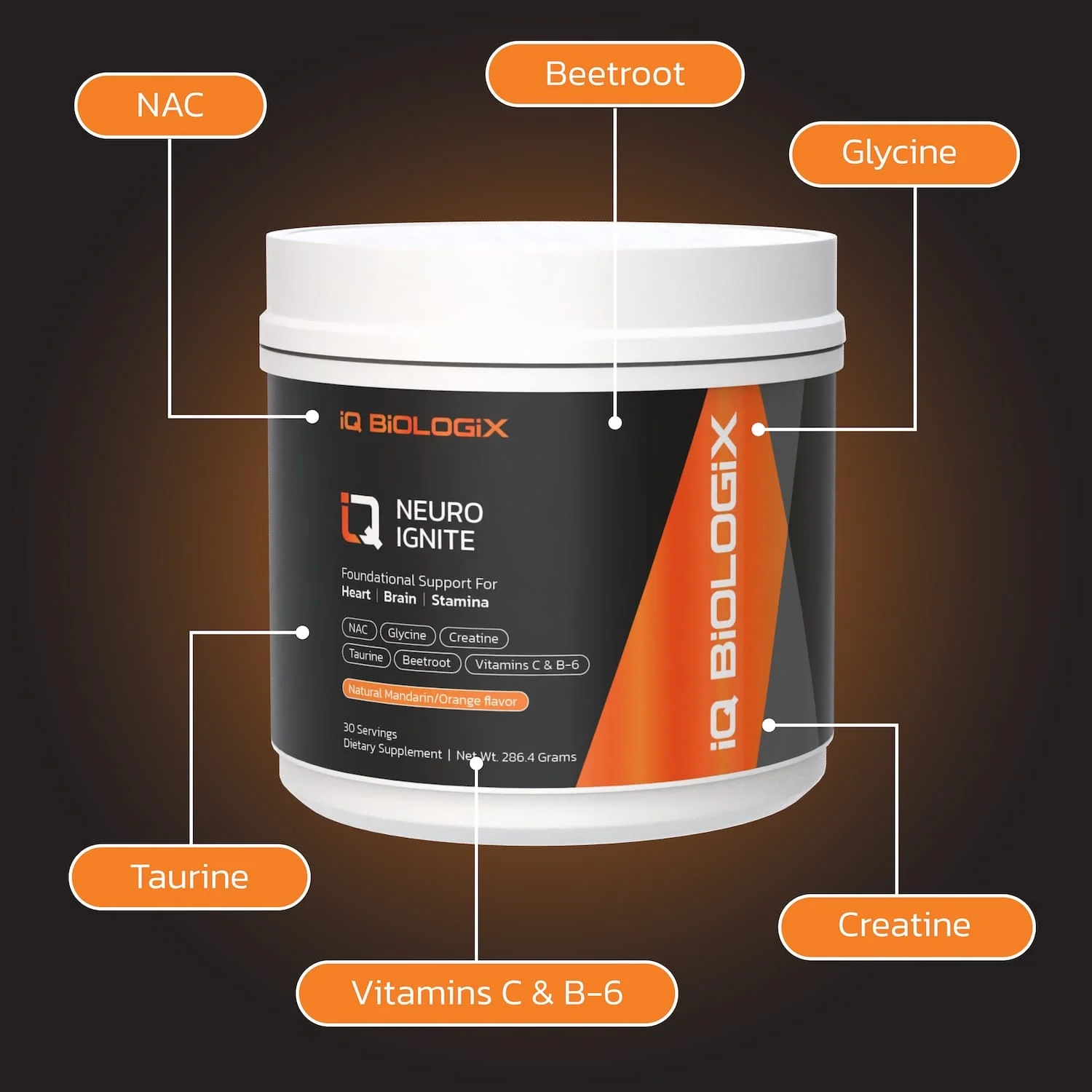 Neuro Ignite - Image 6